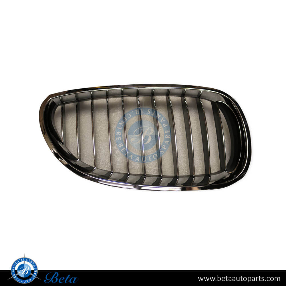 Right Side Radiator Grille for BMW 5 Series E60 2003-2009 models, Part Number 51137065702 Right Side Radiator Grille for BMW 5 Series E60 2003-2009 models, Part Number 51137065702